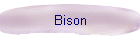 Bison